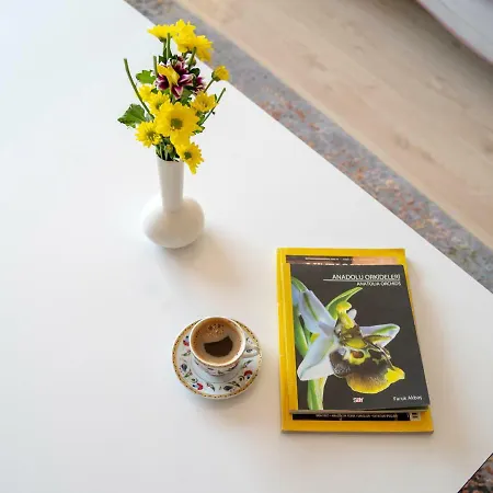 Apartament City Aparts *